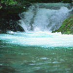 印刷工場「三堂プリント」の物語②　中小企業診断士と作った”BCP”の効能