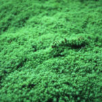 印刷工場「三堂プリント」の物語③　BCPが“日常を強くする”経営基盤に進化